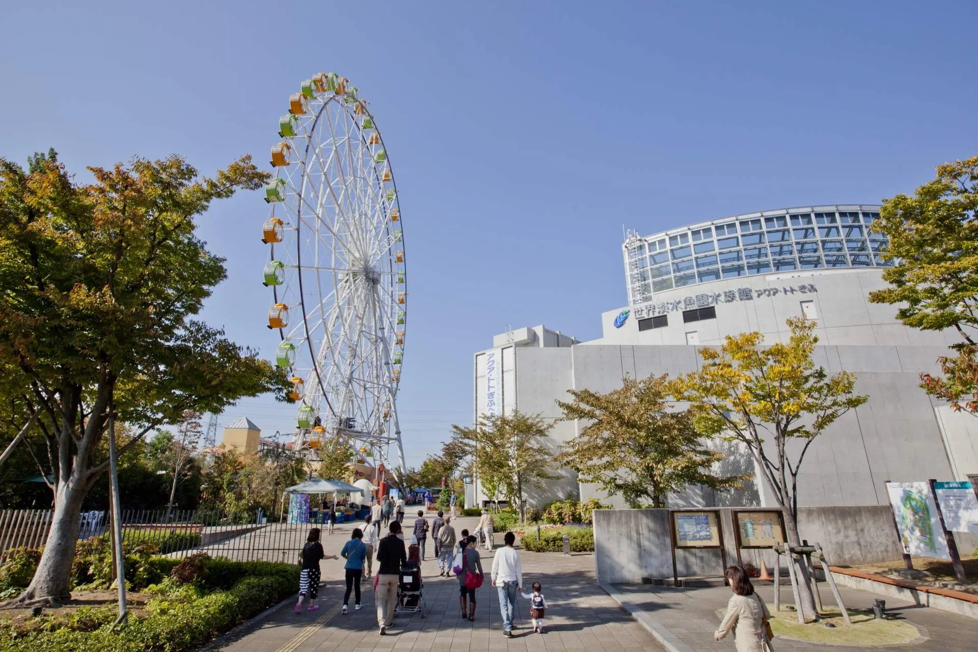 🎡 오아시스 파크 이미지 5